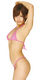 ウェット生地三角ブラ&マイクロGスト ローズ